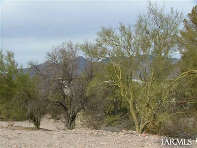 3405 East River Road Tucson, AZ 85718 - Photo 2 of 12 Gallery Image 2