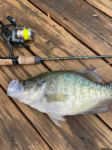 $1,150,000 | 22245 Mallard Cv Court, Bullard, TX 75757