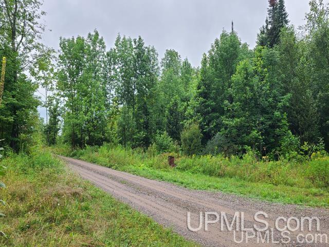 Tbd Bates-Amasa Road Iron River, MI 49935 - Photo 2 of 12