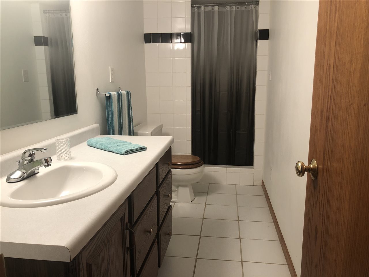 6652 North Cedar Road Forreston, IL 61030 - Photo 17 of 25 a bathroom with a sink a toilet and shower