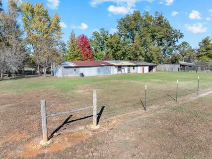 a view of yard with green space and trees