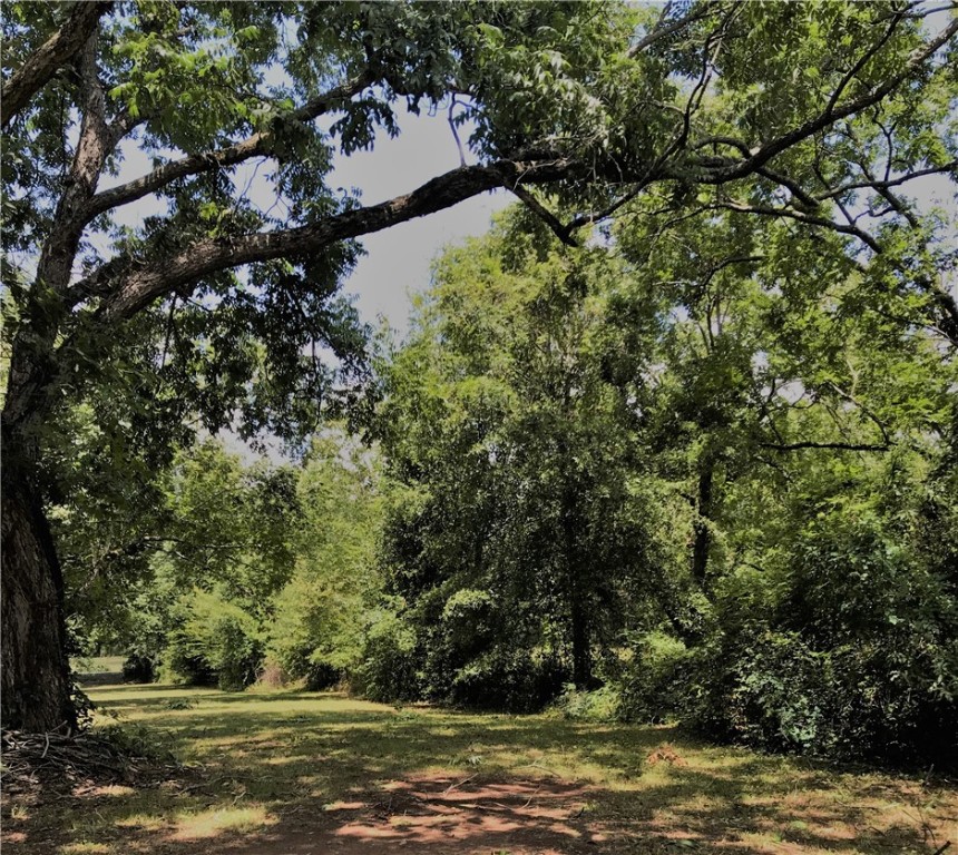193 Gin House Road Abbeville, SC 29620 - Photo 23 of 34 Gallery Image 23