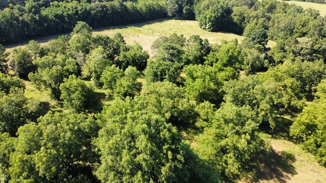 193 Gin House Road Abbeville, SC 29620 - Photo 26 of 34 Gallery Image 26