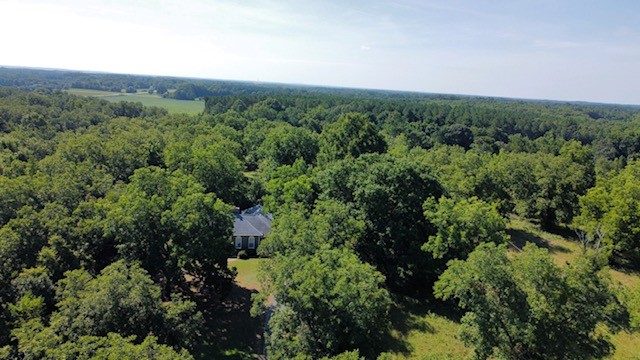 193 Gin House Road Abbeville, SC 29620 - Photo 29 of 34 Gallery Image 29