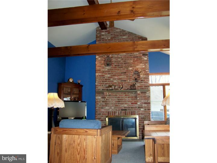 316 Cowpath Road Lansdale, PA 19446 - Photo 4 of 23 Fireplace