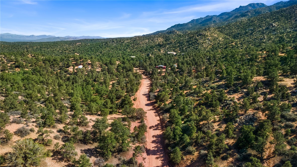 313-87-005 North Trap Spgs Road Hackberry, AZ 86411 - Photo 2 of 21