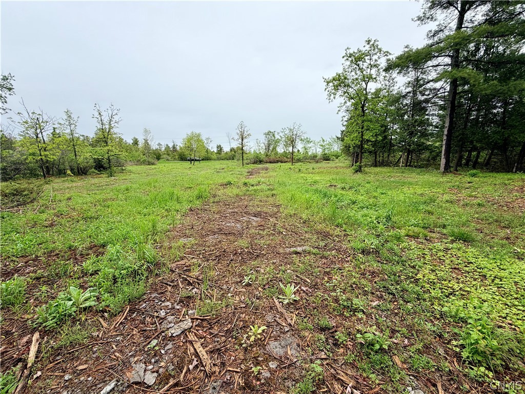 8 County Rte Cape Cape Vincent, NY 13618 - Photo 5 of 13