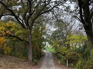 $775,000 | 14309 Plattsburg Road, Kearney, MO 64060