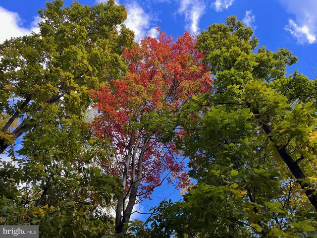 $110,000 | 1855 Ridge Road, Haymarket, VA 20169