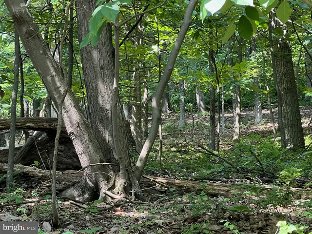 $110,000 | 1855 Ridge Road, Haymarket, VA 20169