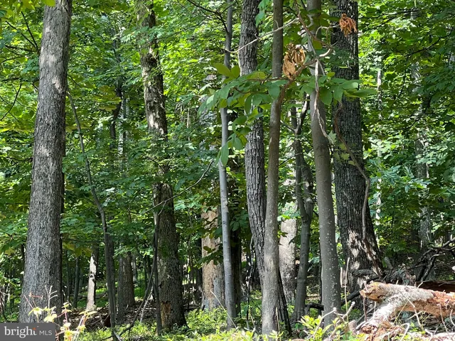 $110,000 | 1855 Ridge Road, Haymarket, VA 20169