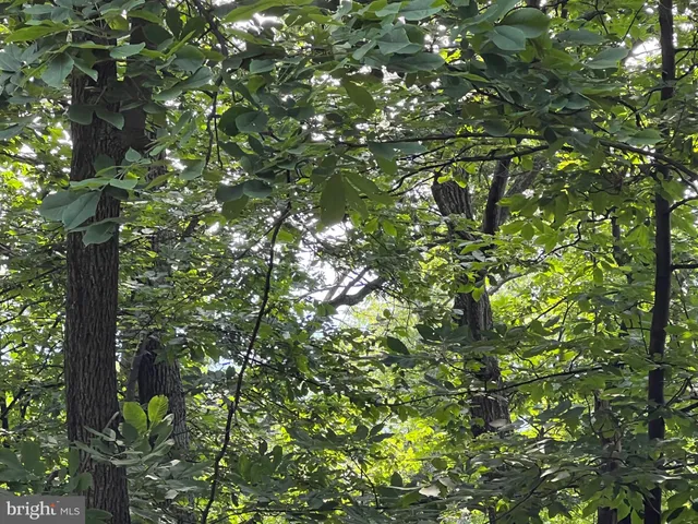 $110,000 | 1855 Ridge Road, Haymarket, VA 20169