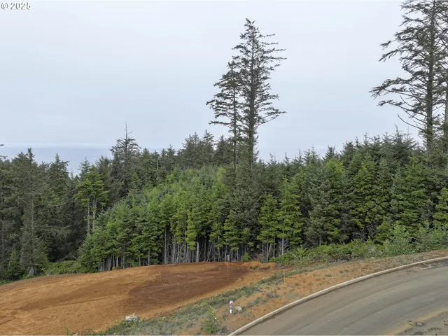 a view of a yard and basketball court