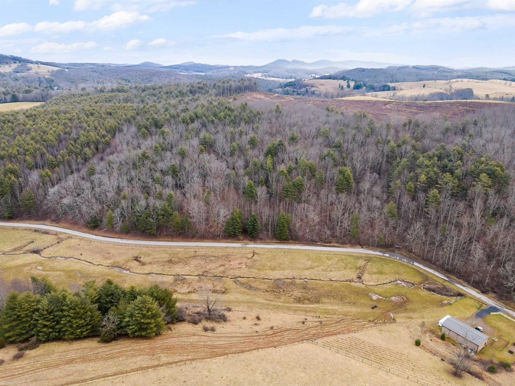 1055 Epperly Mill Road Southwest, Unit 185 & 186 Floyd, VA 24091 - Photo 7 of 31 Gallery Image 7