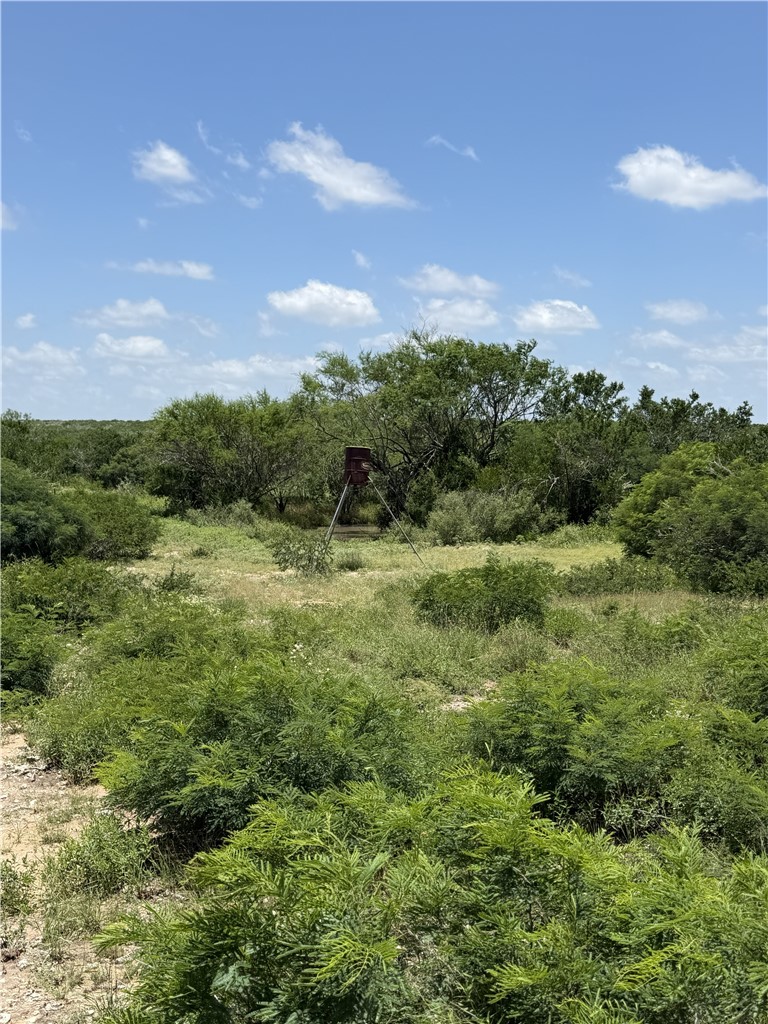 2346 Frontier Rd 1 San Diego, TX 78384 - Photo 11 of 14