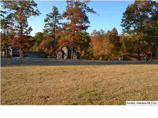 2805 Aster Lake Road Helena, AL 35022 - Photo 27 of 29