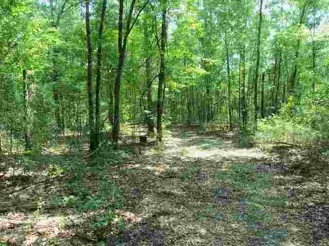 0 El Bethel Church Road, Unit NONE Grand Ridge, FL 32442 - Photo 12 of 14 Gallery Image 12