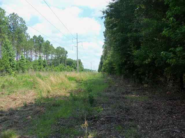 0 El Bethel Church Road, Unit NONE Grand Ridge, FL 32442 - Photo 13 of 14 Gallery Image 13