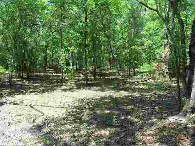 0 El Bethel Church Road, Unit NONE Grand Ridge, FL 32442 - Photo 6 of 14 Gallery Image 6