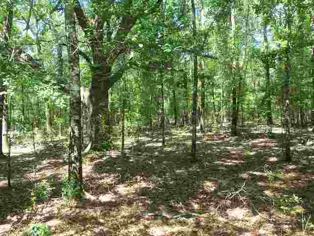 0 El Bethel Church Road, Unit NONE Grand Ridge, FL 32442 - Photo 7 of 14 Gallery Image 7