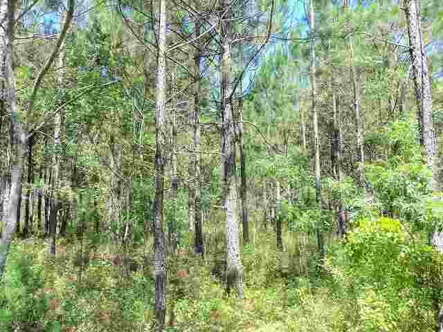 0 El Bethel Church Road, Unit NONE Grand Ridge, FL 32442 - Photo 8 of 14 Gallery Image 8