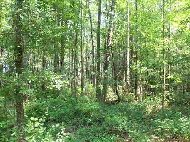 0 El Bethel Church Road, Unit NONE Grand Ridge, FL 32442 - Photo 9 of 14 Gallery Image 9