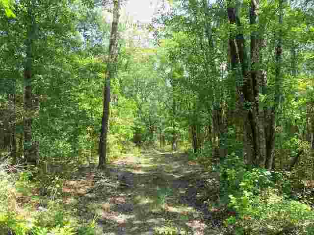 0 El Bethel Church Road, Unit NONE Grand Ridge, FL 32442 - Photo 10 of 14 Gallery Image 10