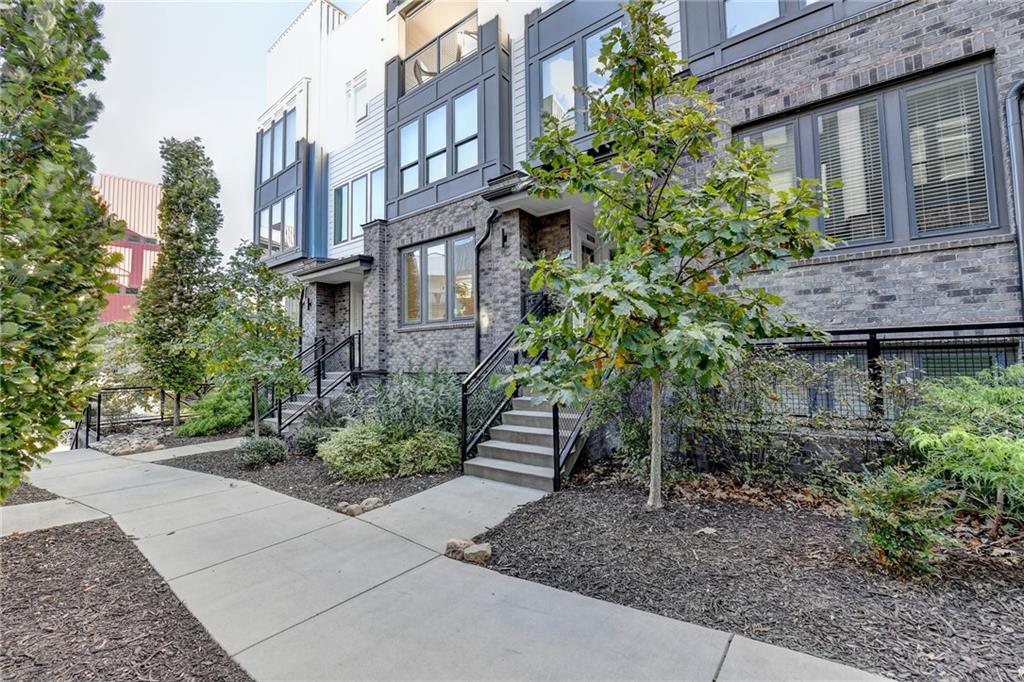 a view of a garden with plants