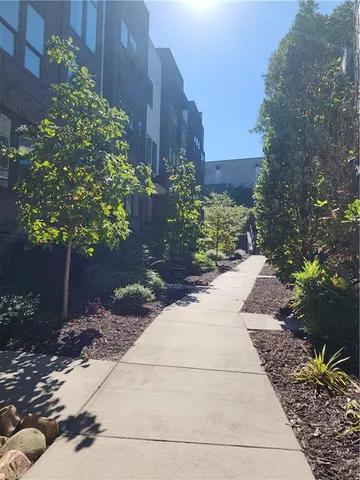 a view of a garden with pathway