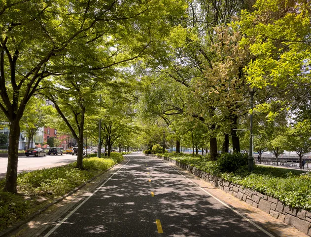 a view of street with trees