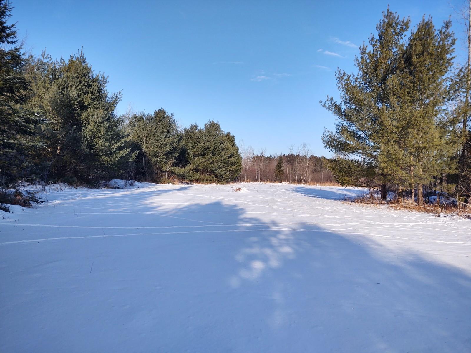 9710 Long Rapids Road Alpena, MI 49707 - Photo 20 of 30 Gallery Image 20