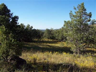 0 Snowdrift Road Williams, AZ 86046 - Photo 1 of 2 Primary Photo
