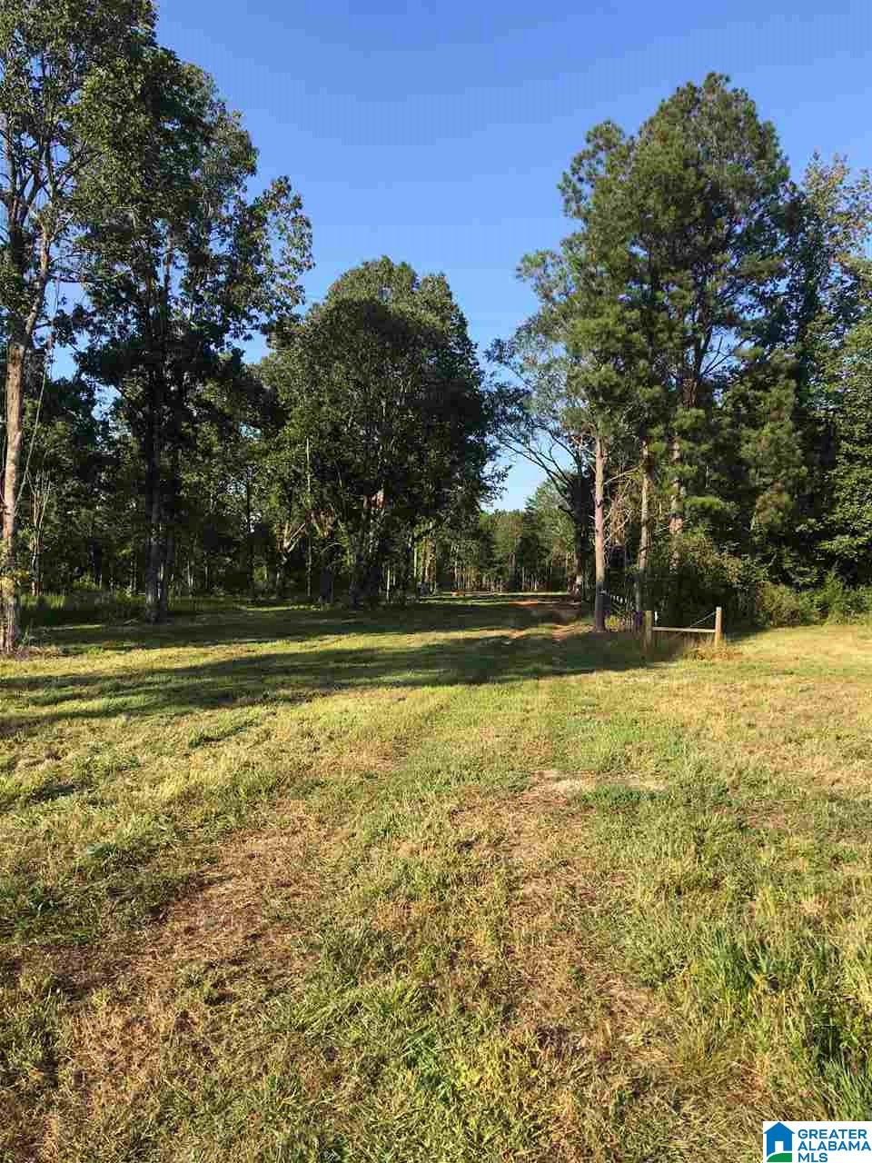 0 County Road 31 Springville, AL 35146 - Photo 3 of 18 Gallery Image 3