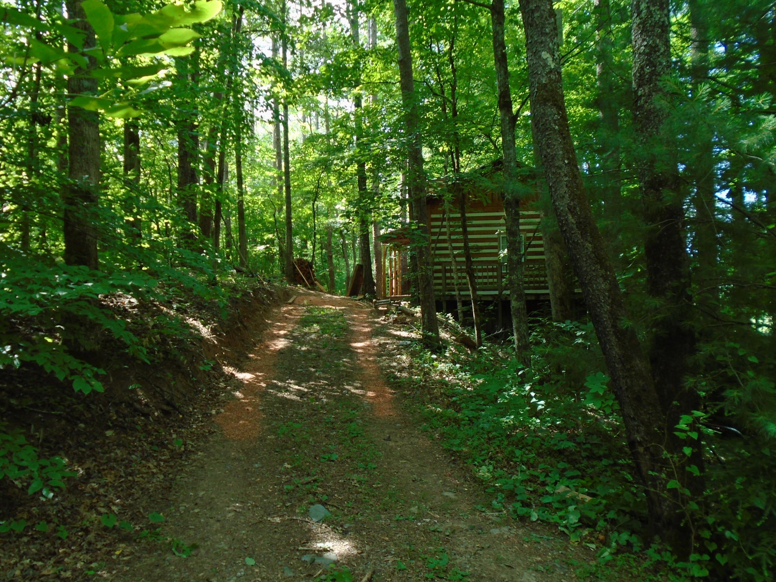 819 Dry Valley Road Townsend, TN 37882 - Photo 12 of 13 DSC00289