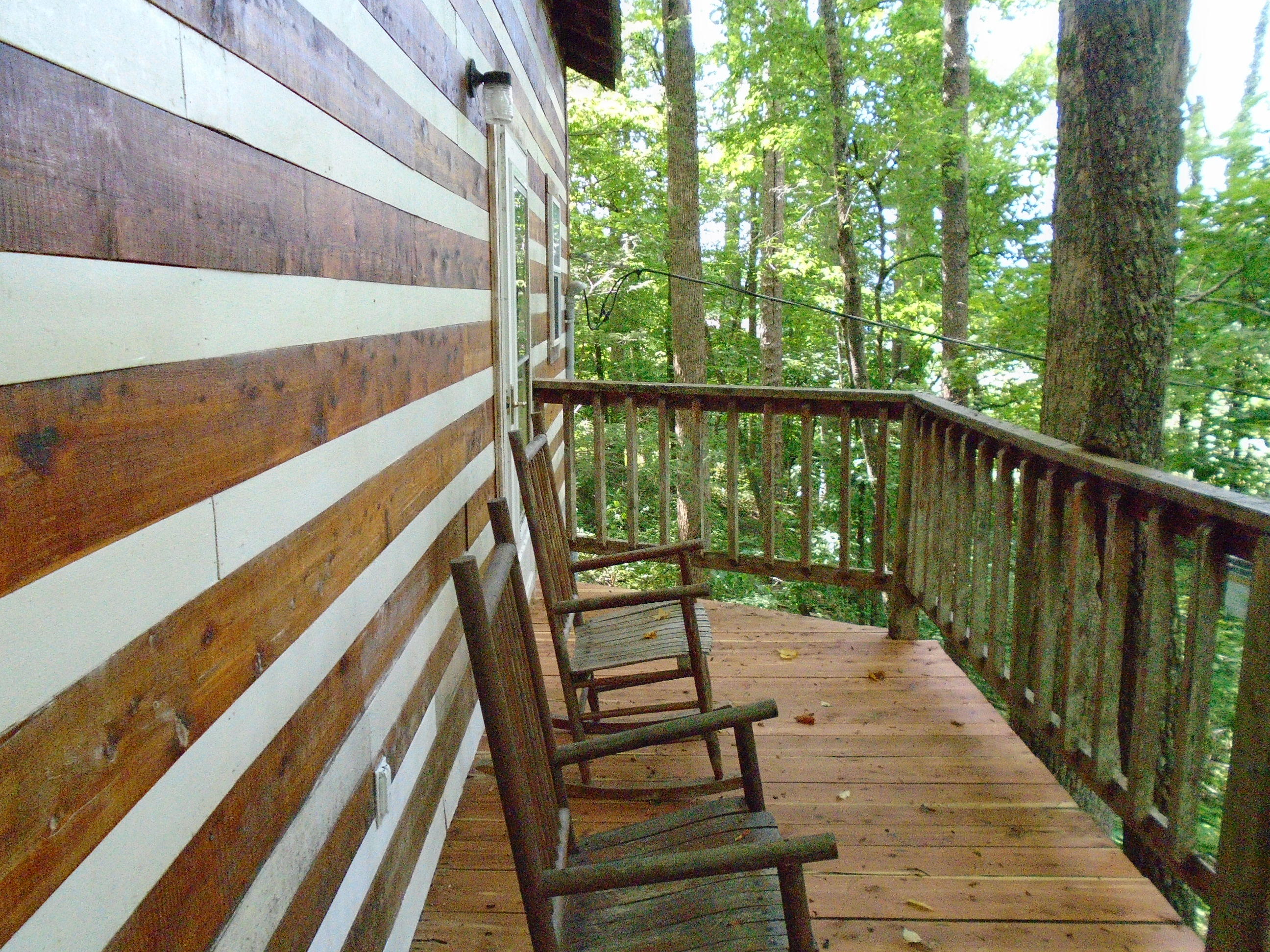 819 Dry Valley Road Townsend, TN 37882 - Photo 3 of 13 DSC00295