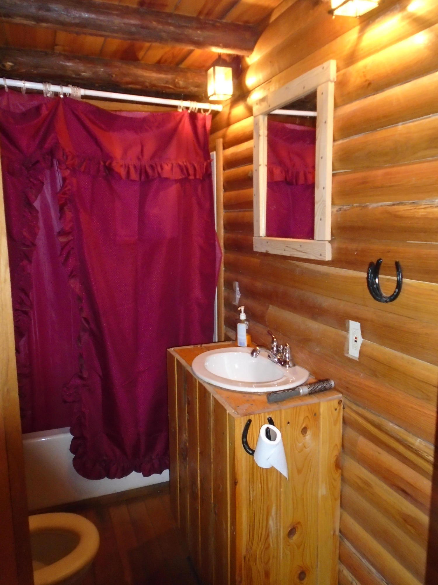 819 Dry Valley Road Townsend, TN 37882 - Photo 8 of 13 DSC00305