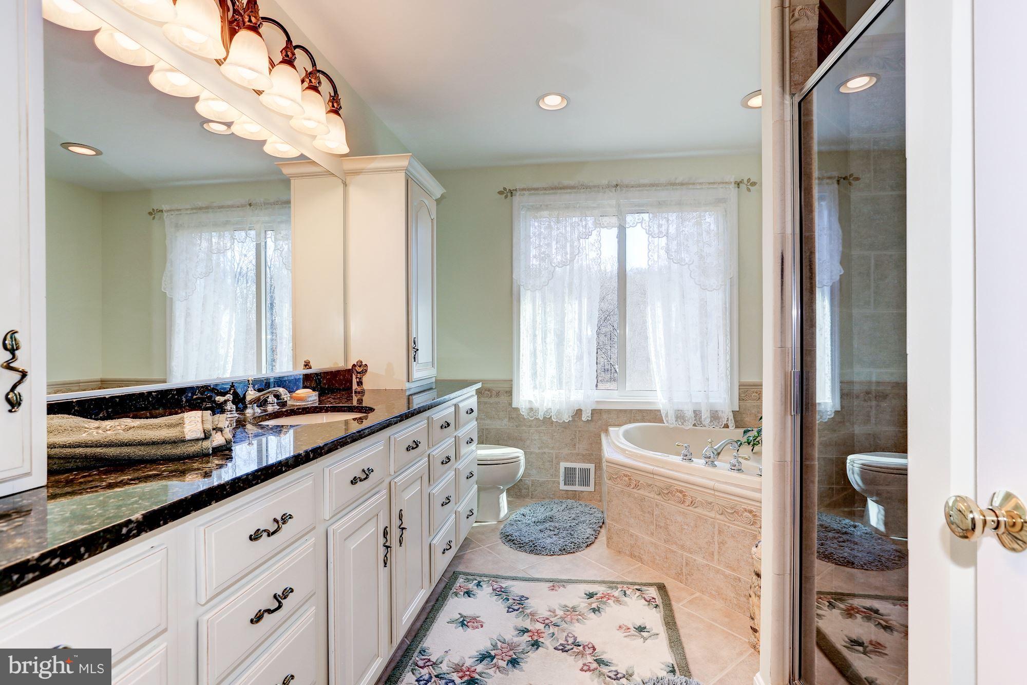 12404 Deoudes Road Boyds, MD 20841 - Photo 18 of 30 Bath (Master)