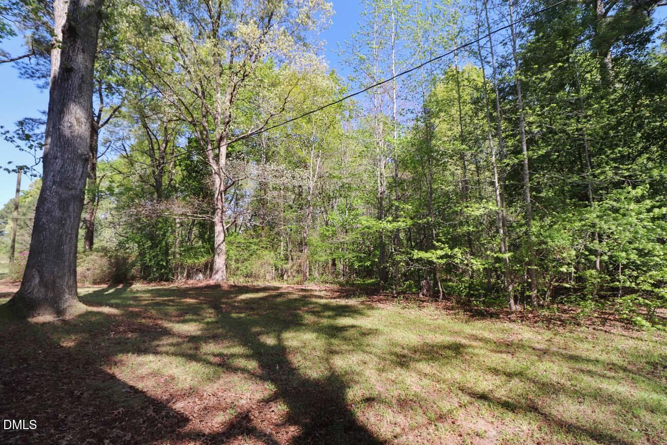 163 Walton Road Youngsville, NC 27596 - Photo 41 of 45 a view of outdoor space with trees