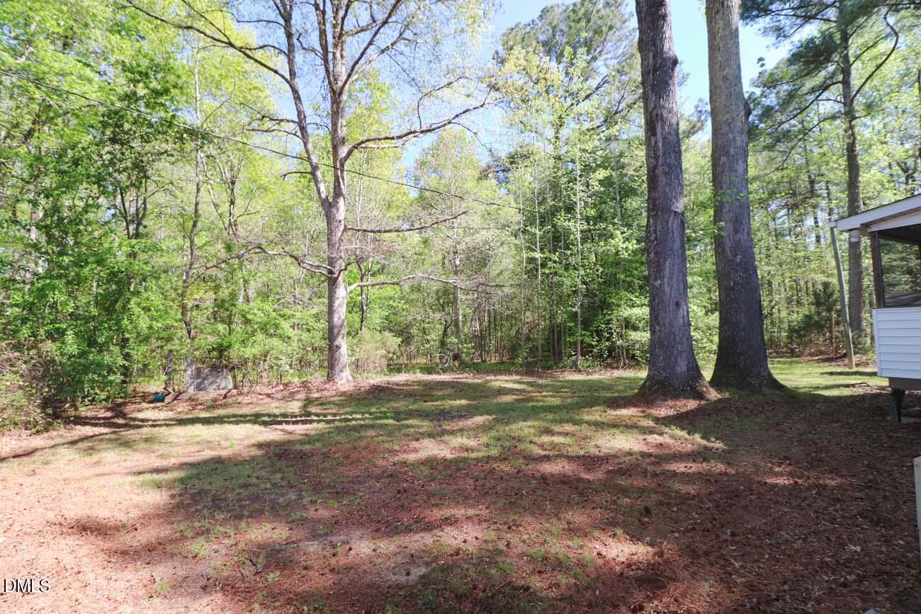 163 Walton Road Youngsville, NC 27596 - Photo 42 of 45 a view of a yard with trees
