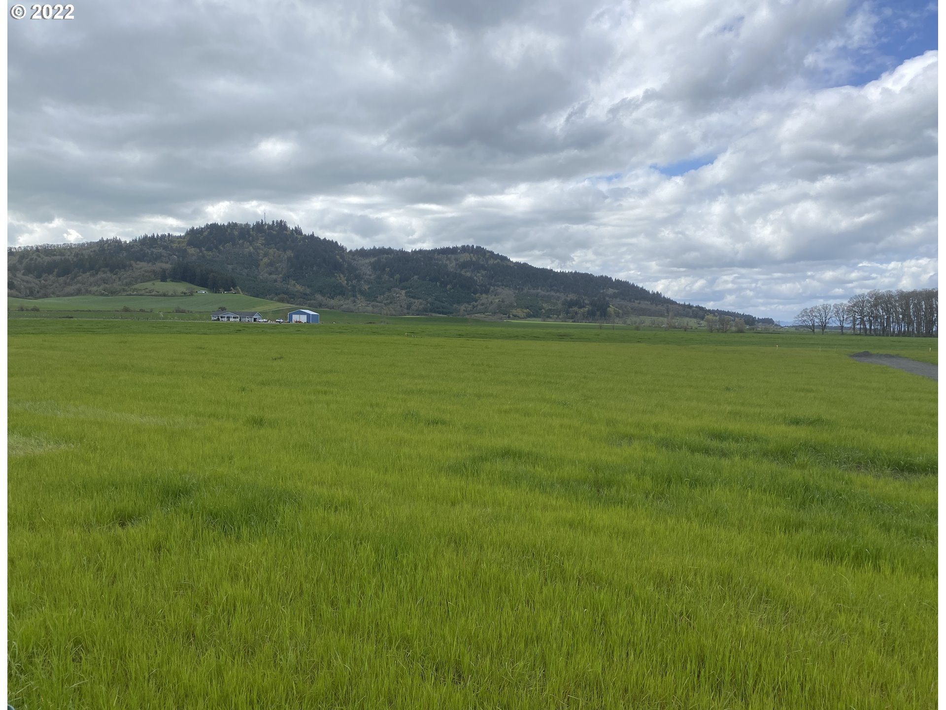 Stoltz Hill Road, Unit 119 Lebanon, OR 97355 - Photo 23 of 31 Gallery Image 23