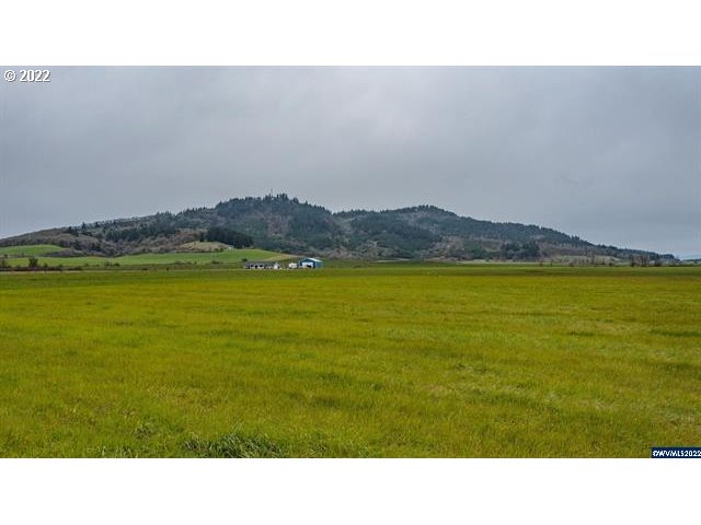 Stoltz Hill Road, Unit 119 Lebanon, OR 97355 - Photo 5 of 31 Gallery Image 5