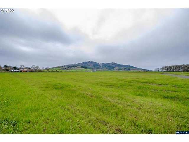 Stoltz Hill Road, Unit 119 Lebanon, OR 97355 - Photo 7 of 31 Gallery Image 7