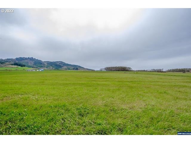 Stoltz Hill Road, Unit 119 Lebanon, OR 97355 - Photo 8 of 31 Gallery Image 8