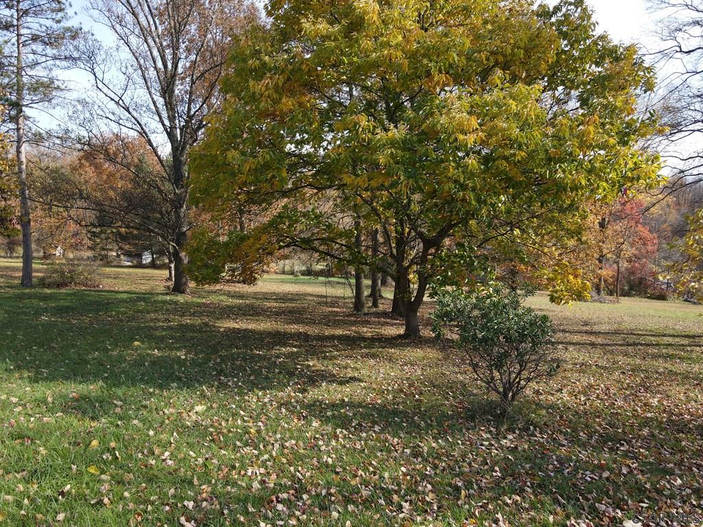 711 Rte New Florence Pa New Florence, PA 15944 - Photo 4 of 7