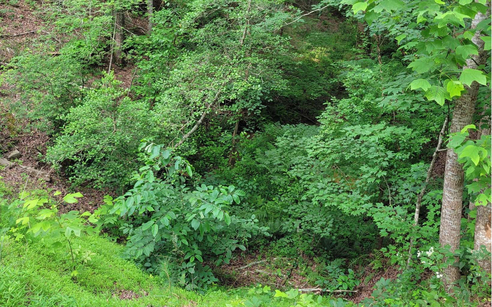 Longbranch Ranger, GA 30734 - Photo 2 of 7 Additional View