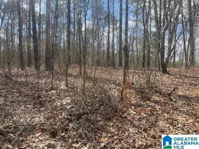 0 Ridgeway Circle, Unit 95 AND 96 Talladega, AL 35160 - Photo 2 of 10