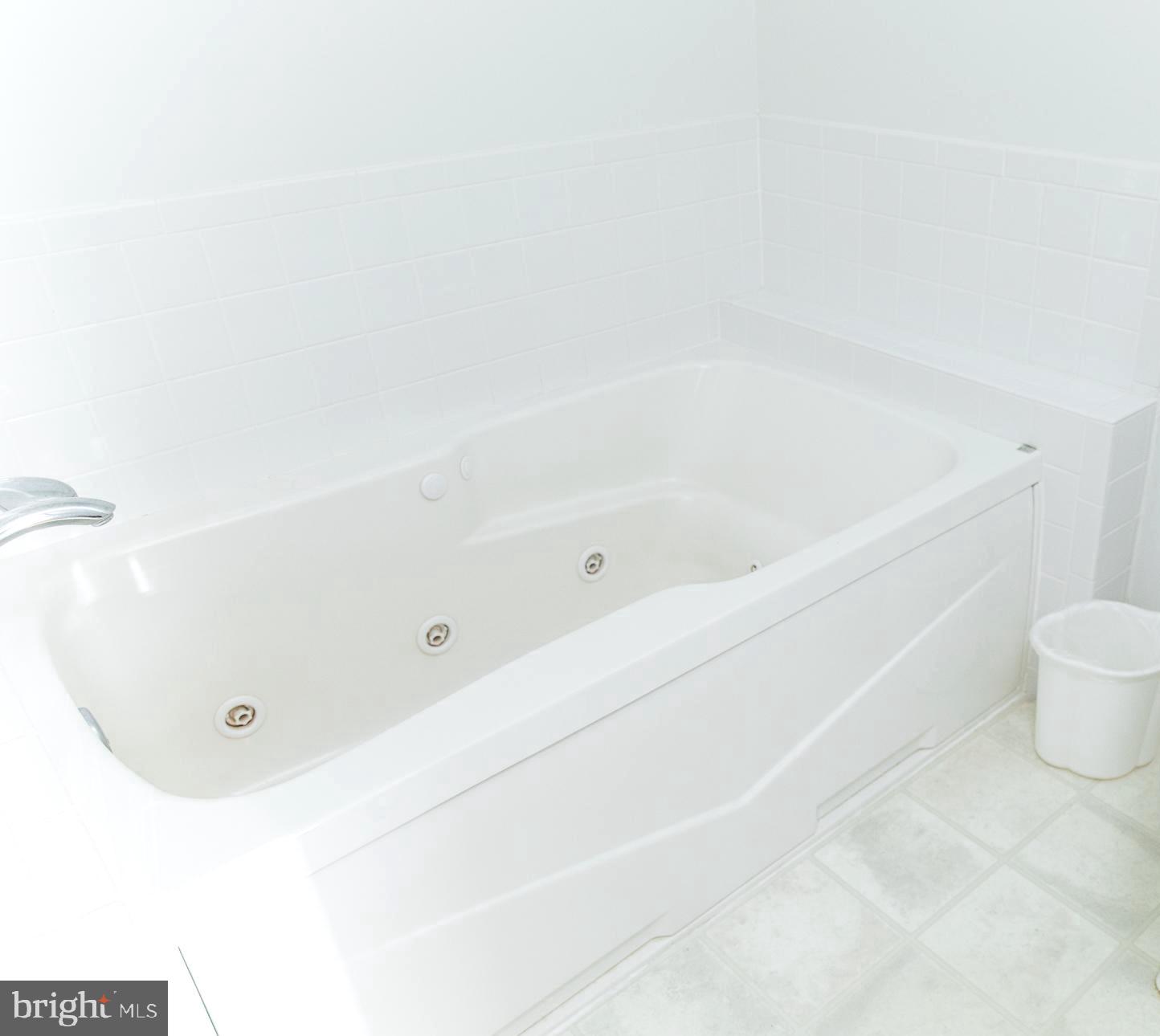 23157 Sparta Road Milford, VA 22514 - Photo 31 of 101 Luxurious jetted tub