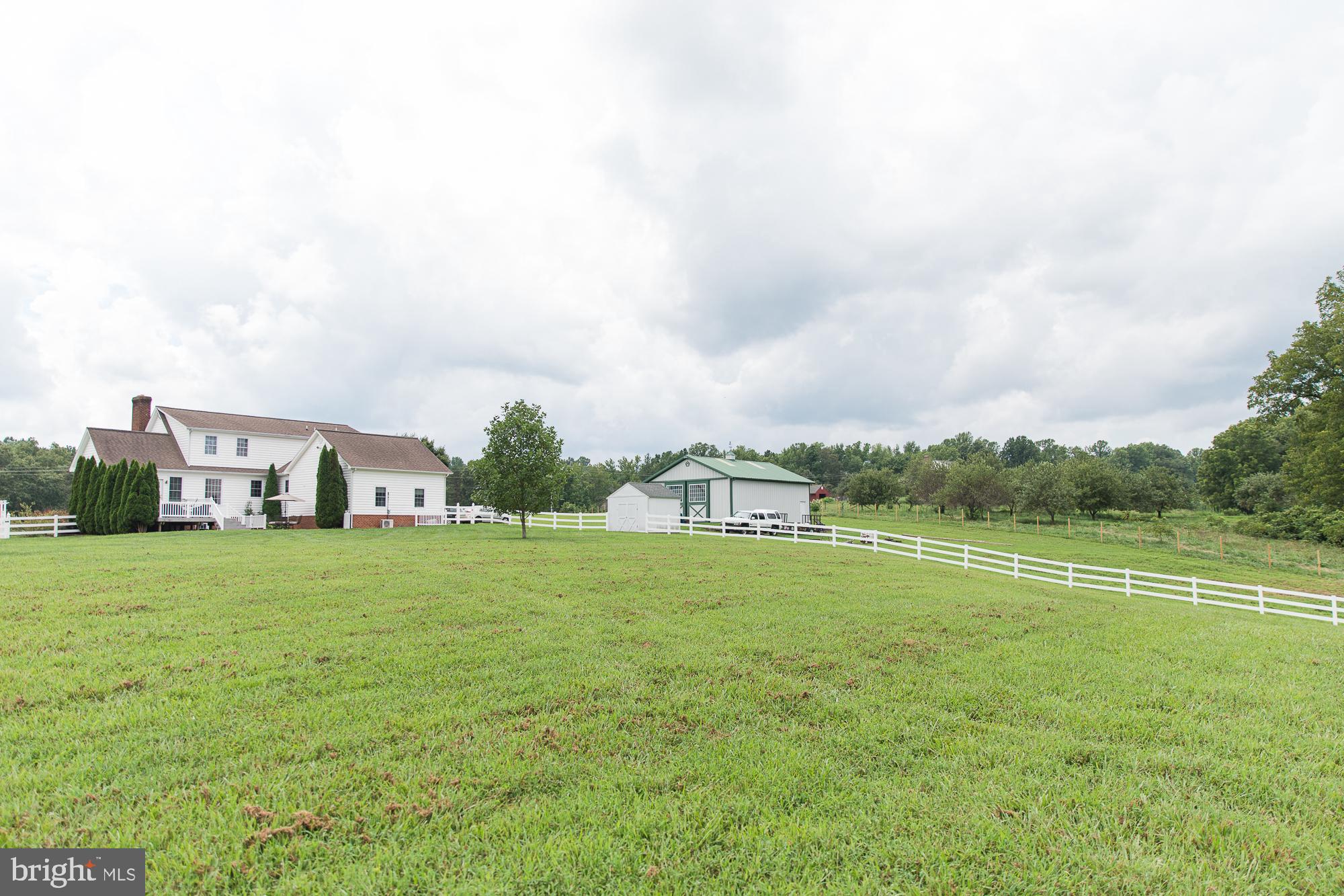 23157 Sparta Road Milford, VA 22514 - Photo 63 of 101 Back yard