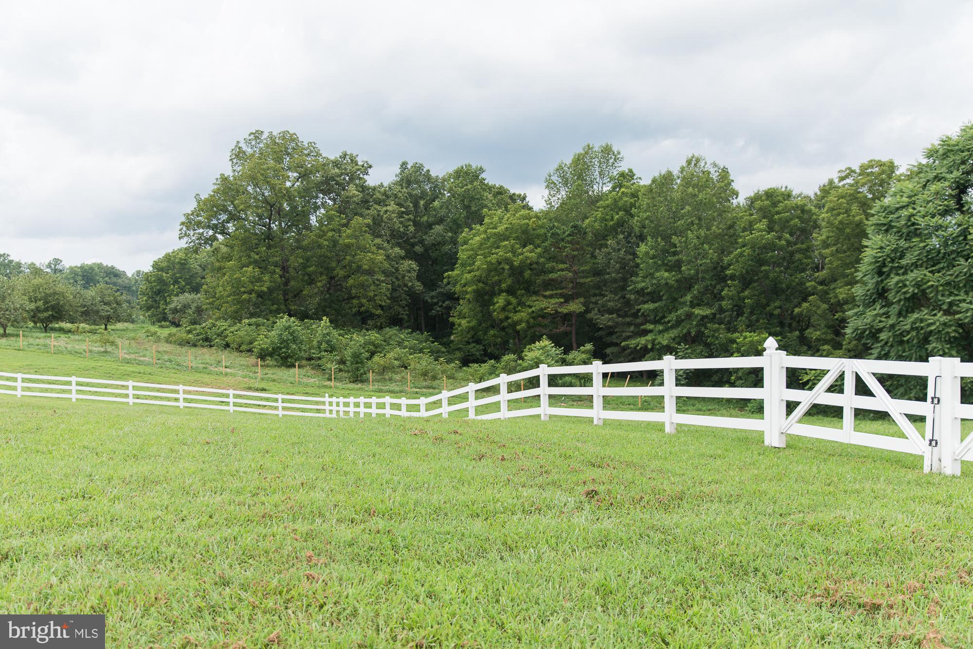 23157 Sparta Road Milford, VA 22514 - Photo 64 of 101 Back yard is fenced