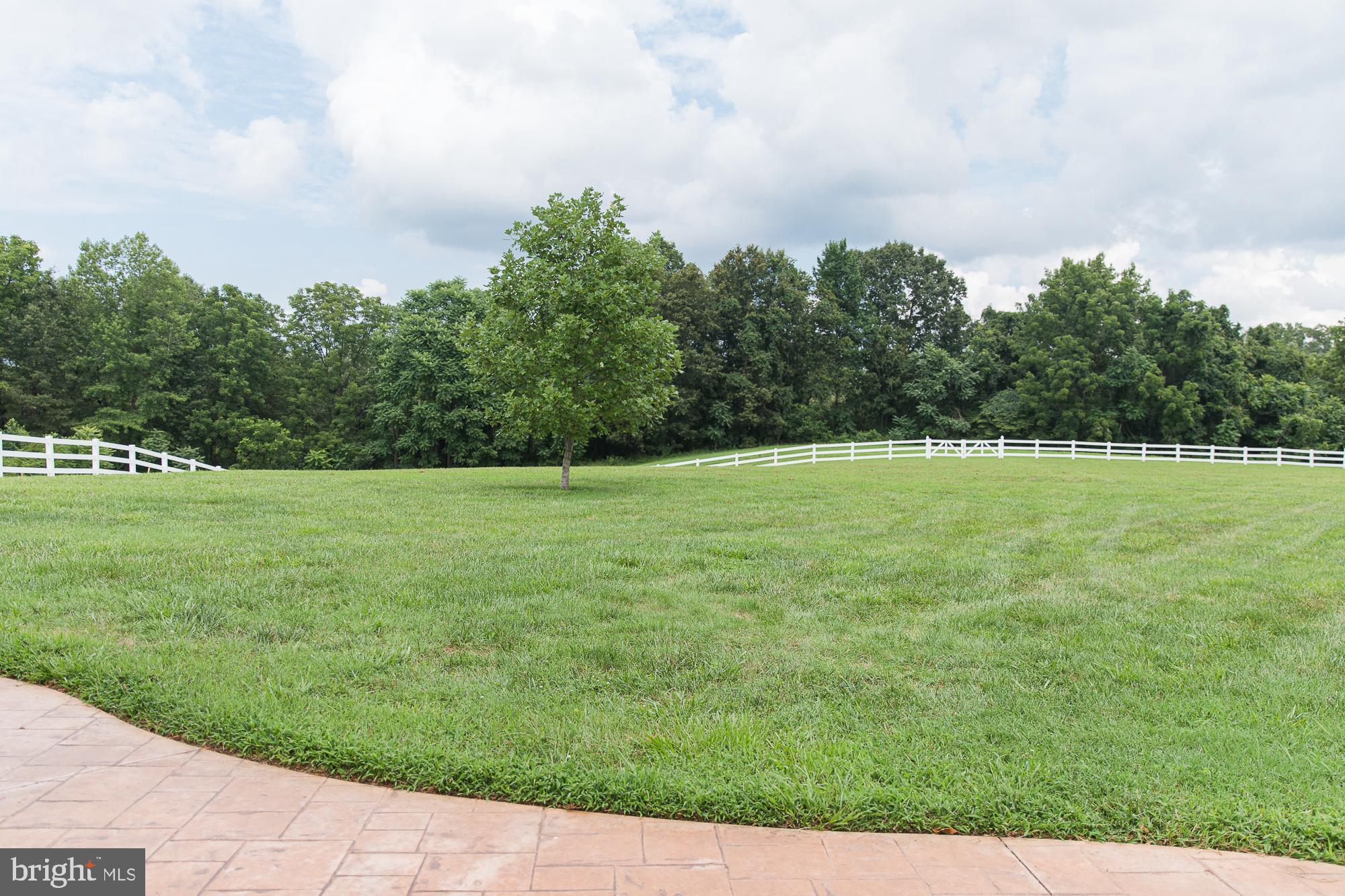 23157 Sparta Road Milford, VA 22514 - Photo 65 of 101 View from the patio